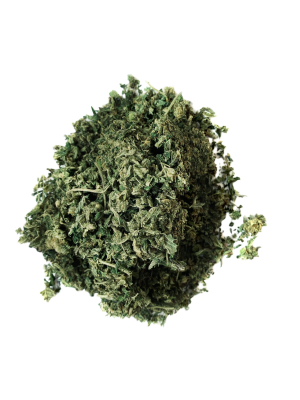 Chocolate Mint Shake