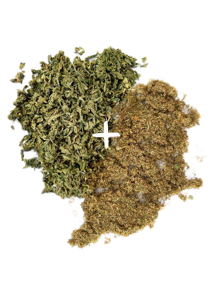 Mango Dream Shake + KIEF Bundle