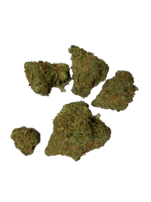 Watermelon Premium Line