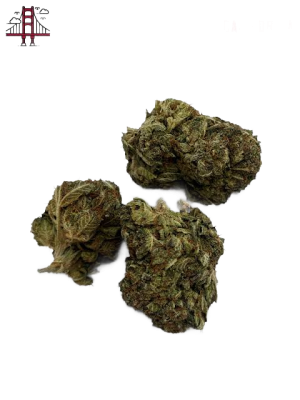 Refreshers Strain UK